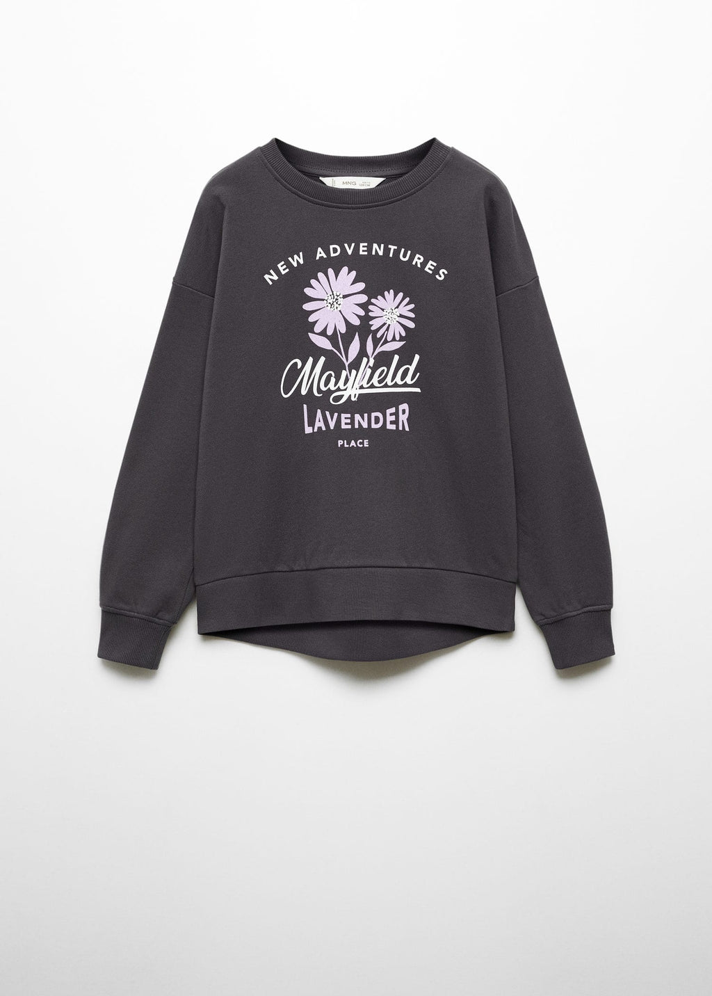 Sudadera algodón estampada