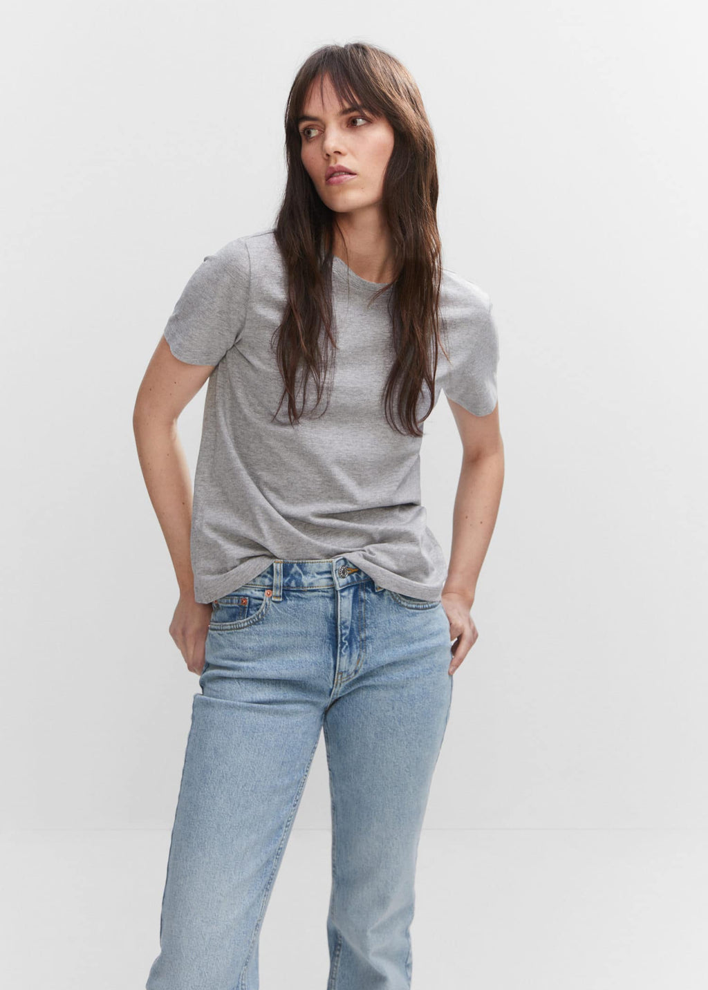 Camiseta 100% algodón